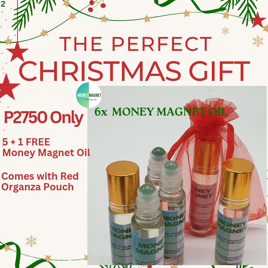 THE PERFECT CHRISTMAS GIFT