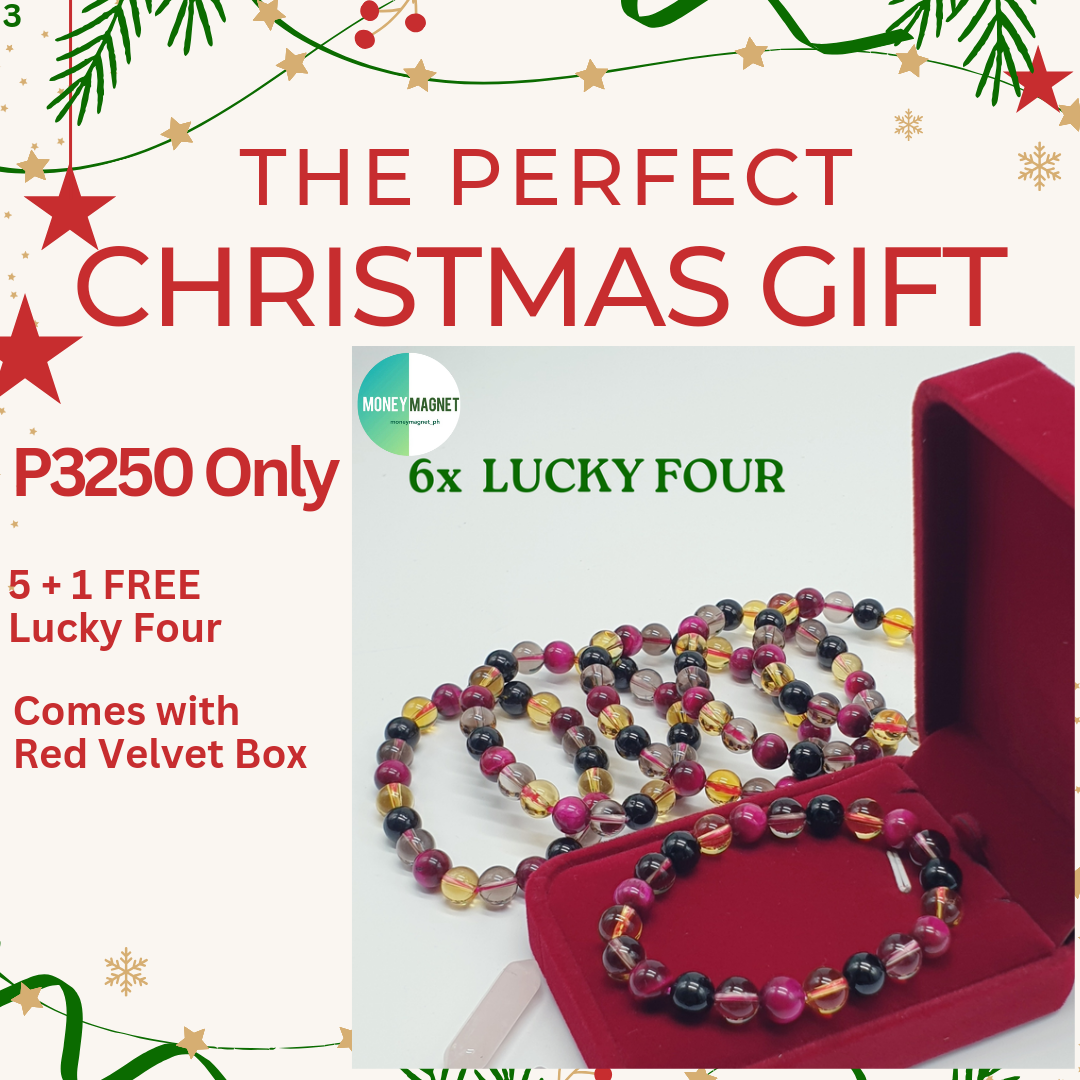 THE PERFECT CHRISTMAS GIFT