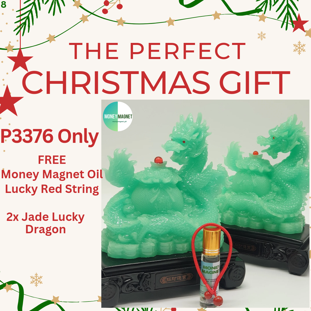 THE PERFECT CHRISTMAS GIFT