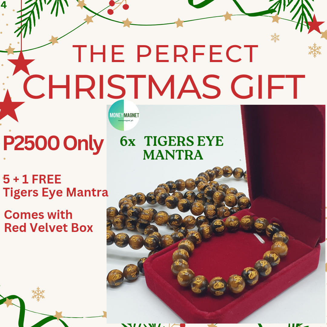 THE PERFECT CHRISTMAS GIFT