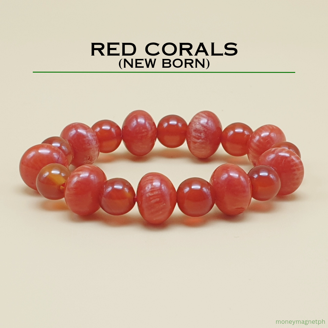 Authentic Corals Bracelet (New Born)